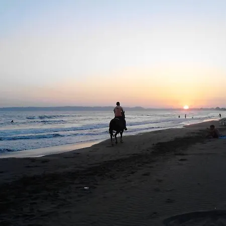 Ioanna Agios Ioannis (Ilia)